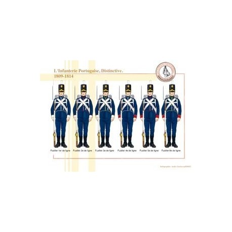 Portugiesische Infanterie, unverwechselbar, 1809–1814