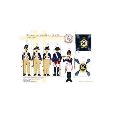 Regiment von Malschitsky, 28. Infanterieregiment, 1800–1807