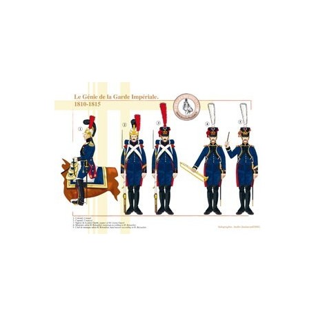 Die Pioniere der französischen Kaisergarde, 1810–1815