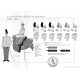 Les Grades des Officiers de Hussards, 1900-1914