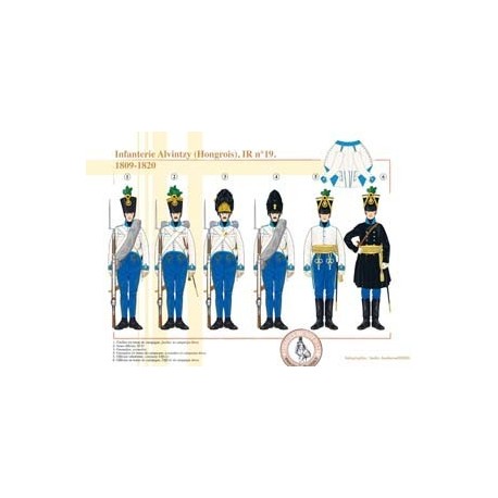 Infanterie Alvintzy (Hongrois), IR n°19, 1809-1820